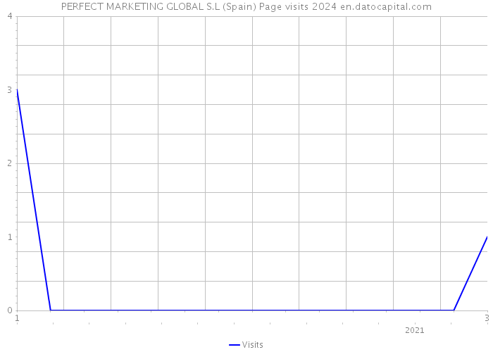 PERFECT MARKETING GLOBAL S.L (Spain) Page visits 2024 