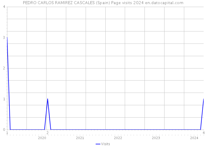 PEDRO CARLOS RAMIREZ CASCALES (Spain) Page visits 2024 