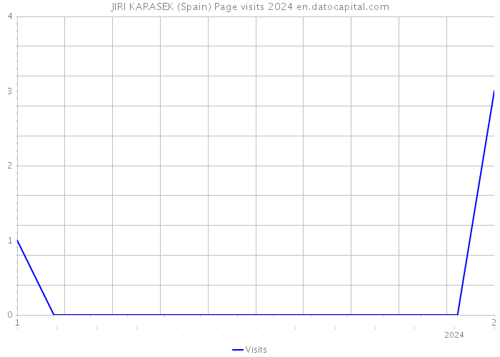 JIRI KARASEK (Spain) Page visits 2024 