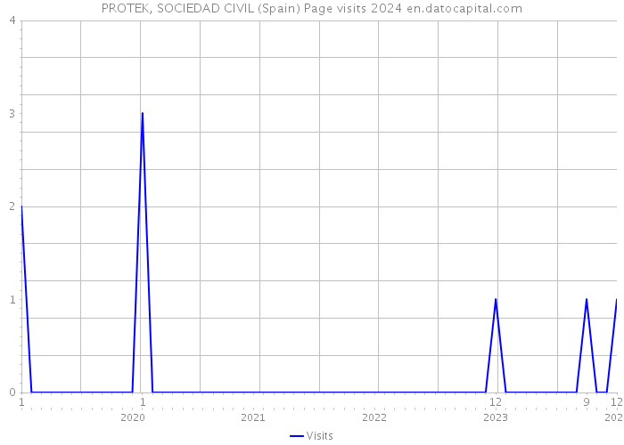 PROTEK, SOCIEDAD CIVIL (Spain) Page visits 2024 