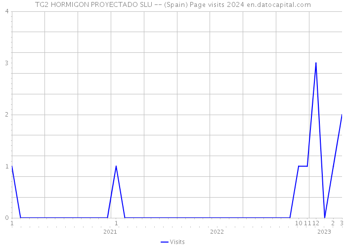 TG2 HORMIGON PROYECTADO SLU -- (Spain) Page visits 2024 