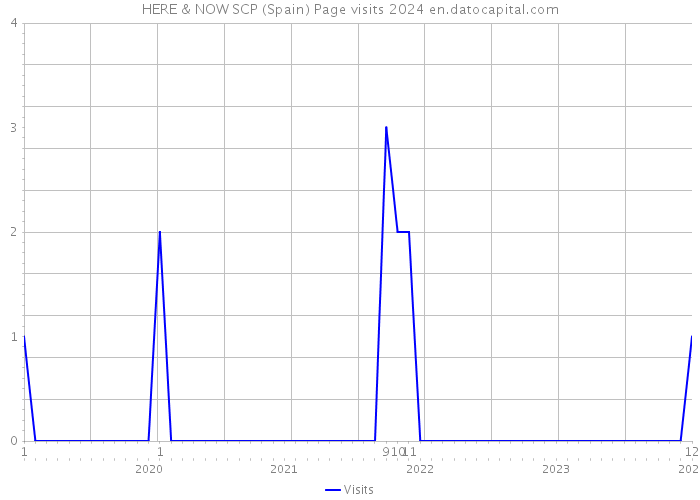 HERE & NOW SCP (Spain) Page visits 2024 