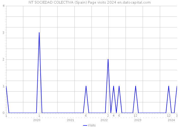 NT SOCIEDAD COLECTIVA (Spain) Page visits 2024 