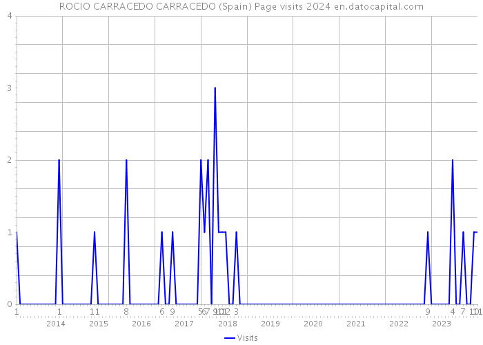 ROCIO CARRACEDO CARRACEDO (Spain) Page visits 2024 
