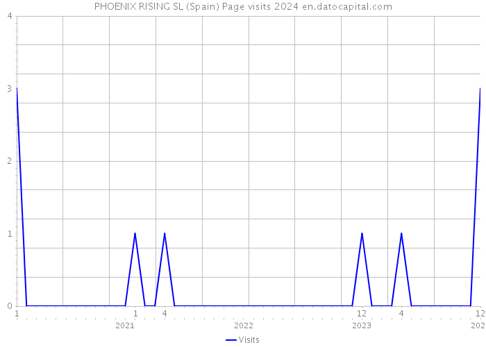 PHOENIX RISING SL (Spain) Page visits 2024 