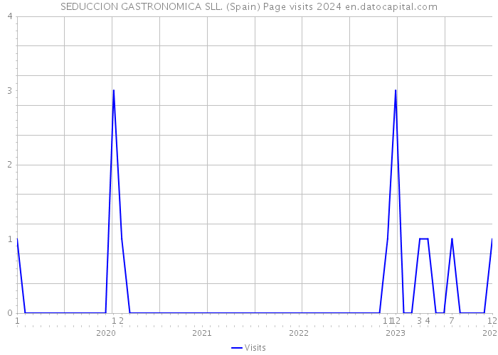 SEDUCCION GASTRONOMICA SLL. (Spain) Page visits 2024 
