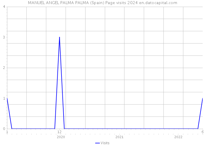 MANUEL ANGEL PALMA PALMA (Spain) Page visits 2024 