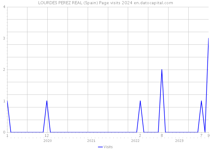 LOURDES PEREZ REAL (Spain) Page visits 2024 