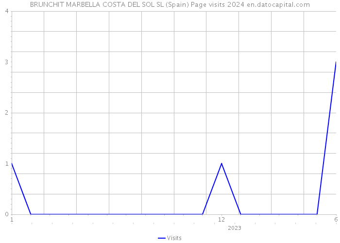 BRUNCHIT MARBELLA COSTA DEL SOL SL (Spain) Page visits 2024 
