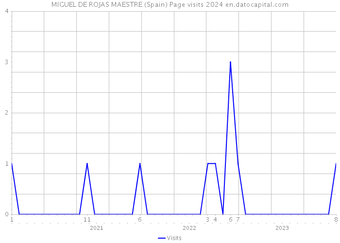 MIGUEL DE ROJAS MAESTRE (Spain) Page visits 2024 
