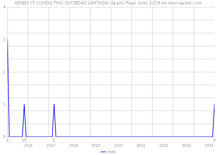 ESSEDI IT CONSULTING SOCIEDAD LIMITADA (Spain) Page visits 2024 