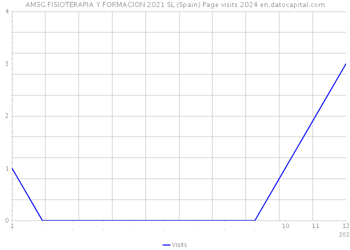 AMSG FISIOTERAPIA Y FORMACION 2021 SL (Spain) Page visits 2024 