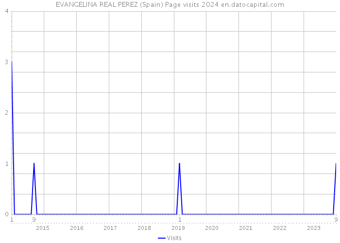 EVANGELINA REAL PEREZ (Spain) Page visits 2024 
