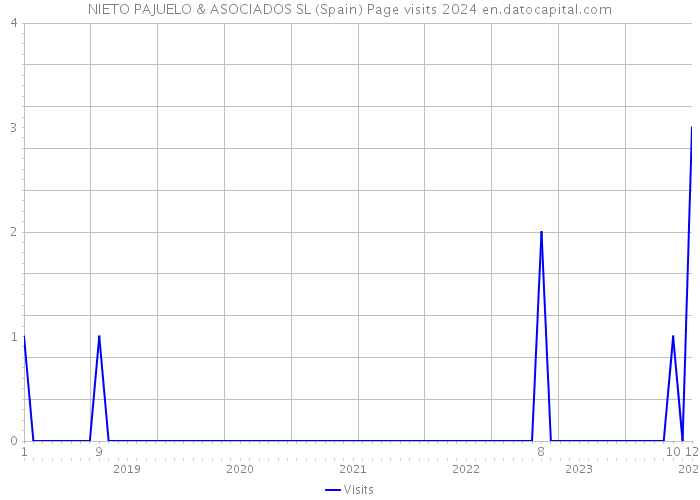 NIETO PAJUELO & ASOCIADOS SL (Spain) Page visits 2024 