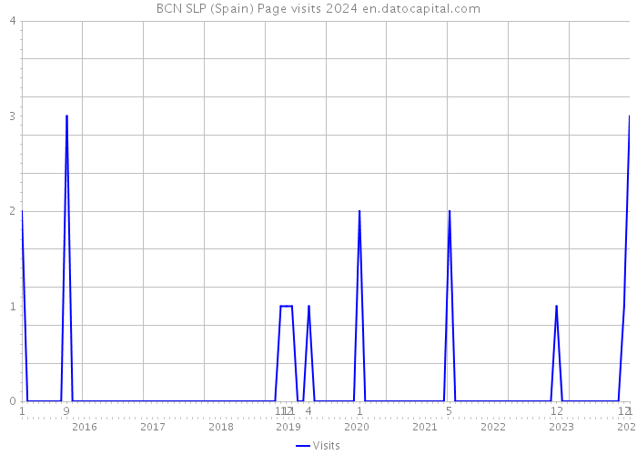 BCN SLP (Spain) Page visits 2024 