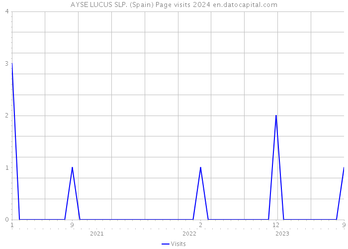 AYSE LUCUS SLP. (Spain) Page visits 2024 