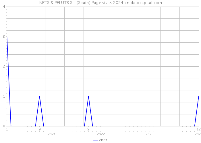 NETS & PELUTS S.L (Spain) Page visits 2024 