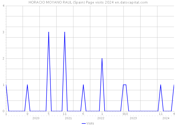 HORACIO MOYANO RAUL (Spain) Page visits 2024 