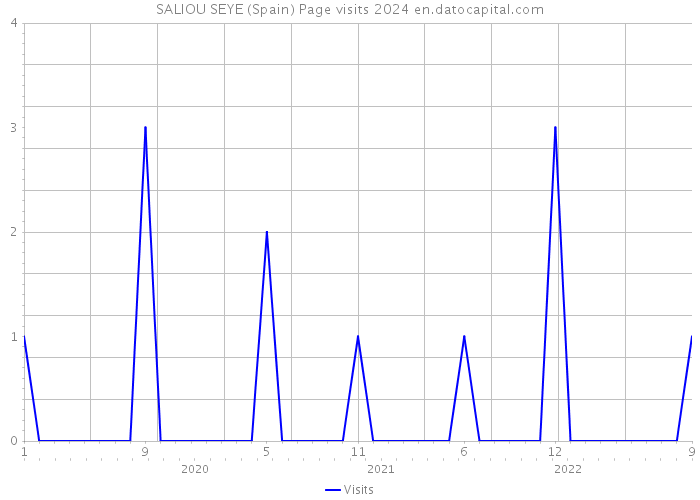 SALIOU SEYE (Spain) Page visits 2024 