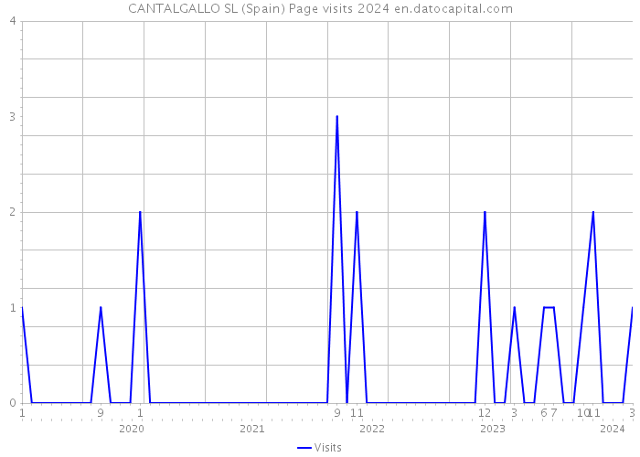 CANTALGALLO SL (Spain) Page visits 2024 