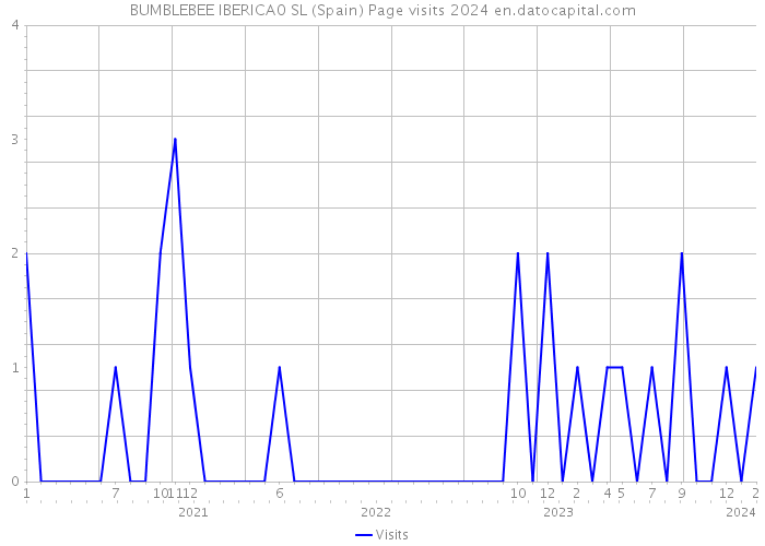 BUMBLEBEE IBERICA0 SL (Spain) Page visits 2024 