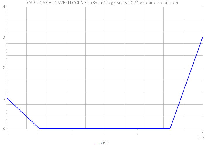 CARNICAS EL CAVERNICOLA S.L (Spain) Page visits 2024 