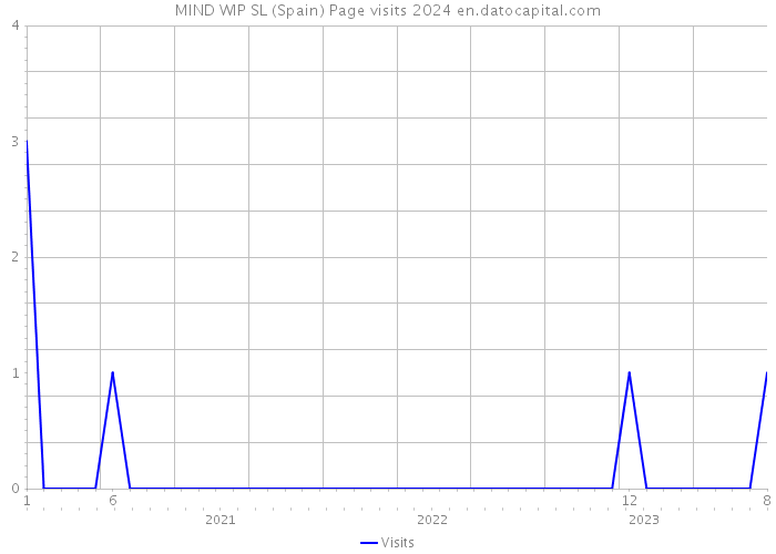 MIND WIP SL (Spain) Page visits 2024 
