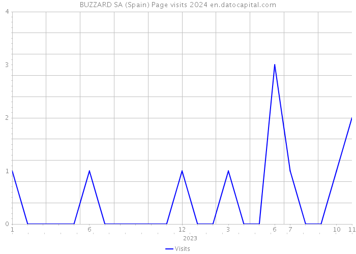 BUZZARD SA (Spain) Page visits 2024 