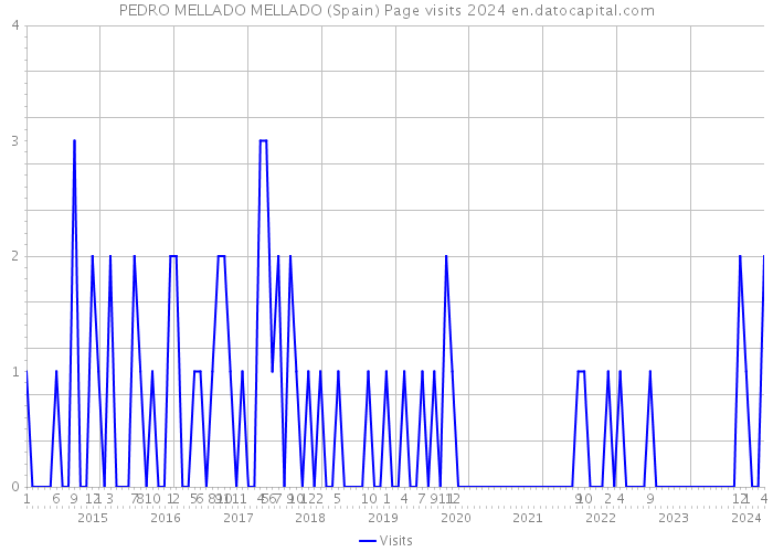 PEDRO MELLADO MELLADO (Spain) Page visits 2024 