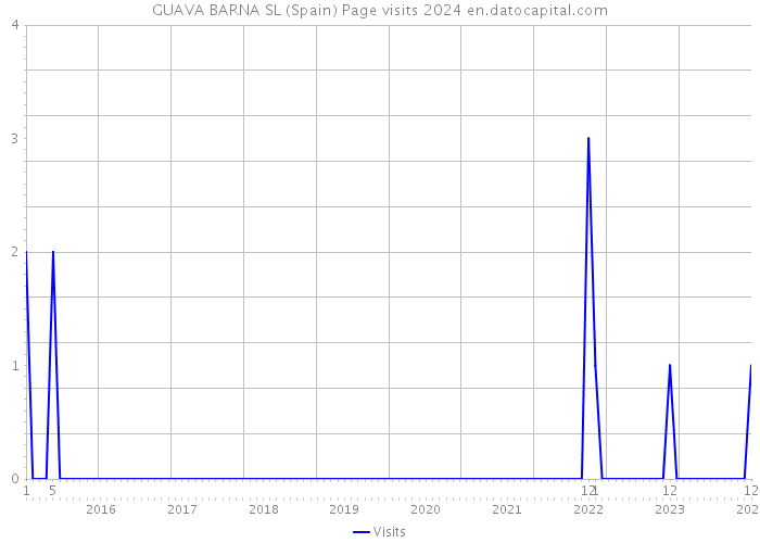 GUAVA BARNA SL (Spain) Page visits 2024 