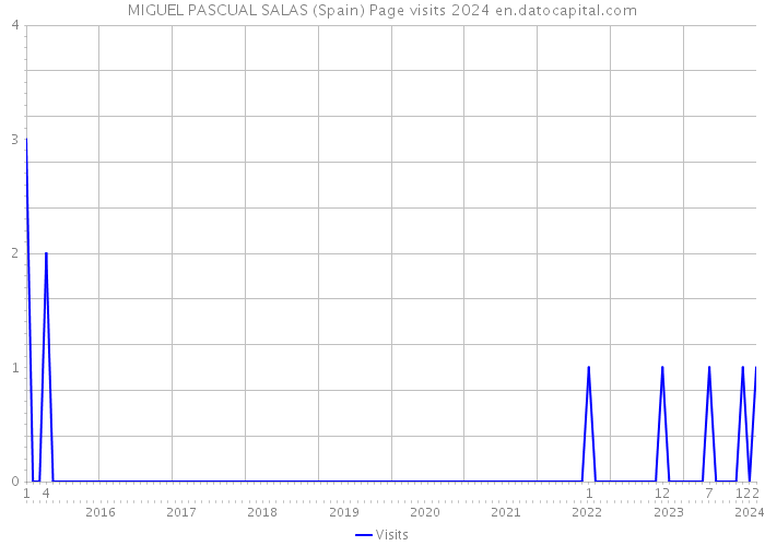 MIGUEL PASCUAL SALAS (Spain) Page visits 2024 