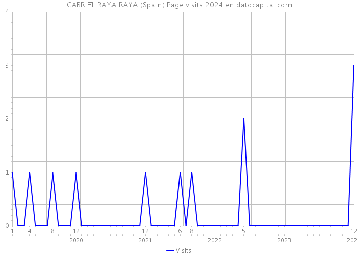 GABRIEL RAYA RAYA (Spain) Page visits 2024 