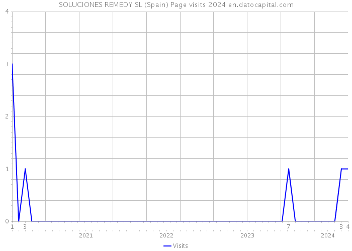 SOLUCIONES REMEDY SL (Spain) Page visits 2024 