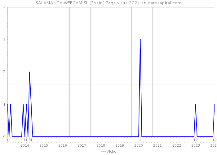 SALAMANCA WEBCAM SL (Spain) Page visits 2024 