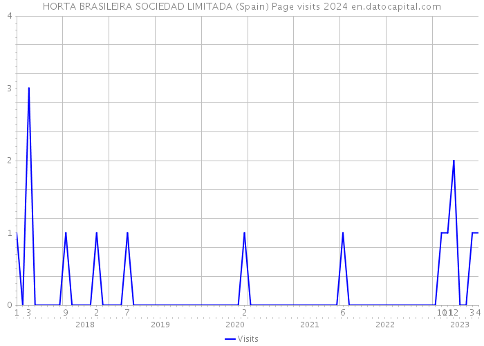 HORTA BRASILEIRA SOCIEDAD LIMITADA (Spain) Page visits 2024 