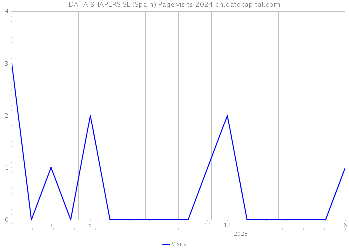 DATA SHAPERS SL (Spain) Page visits 2024 