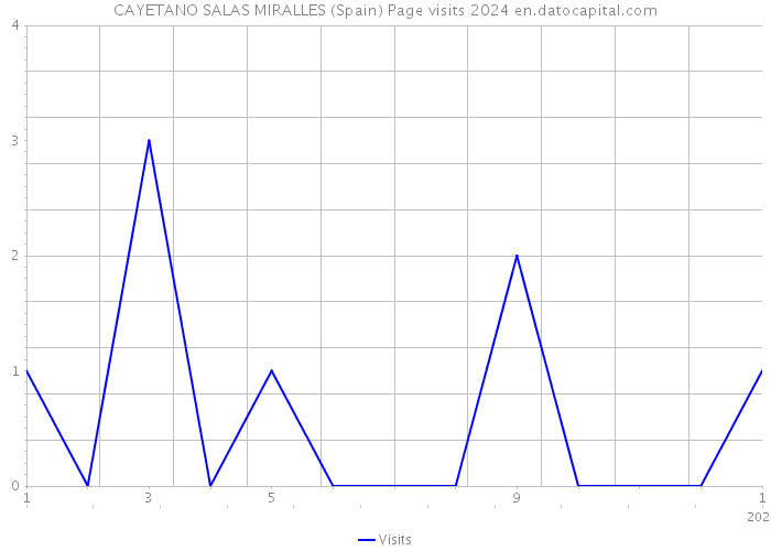 CAYETANO SALAS MIRALLES (Spain) Page visits 2024 