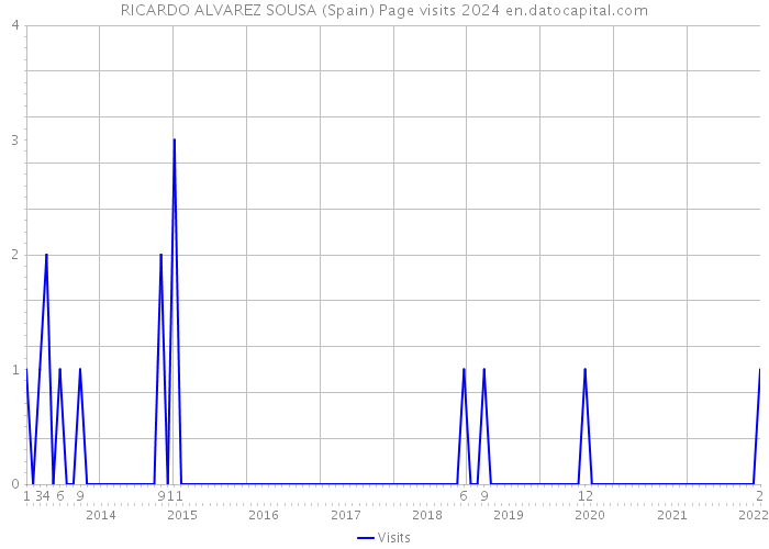 RICARDO ALVAREZ SOUSA (Spain) Page visits 2024 