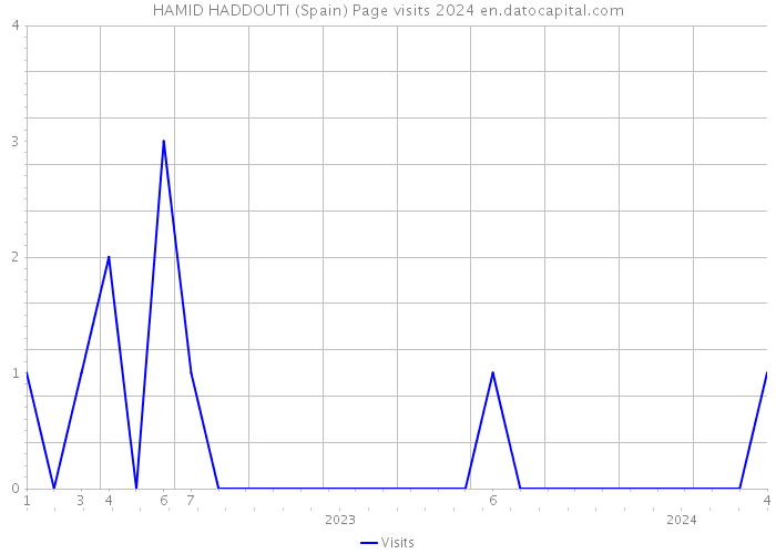 HAMID HADDOUTI (Spain) Page visits 2024 