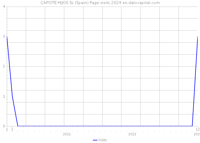 CAPOTE HIJOS SL (Spain) Page visits 2024 