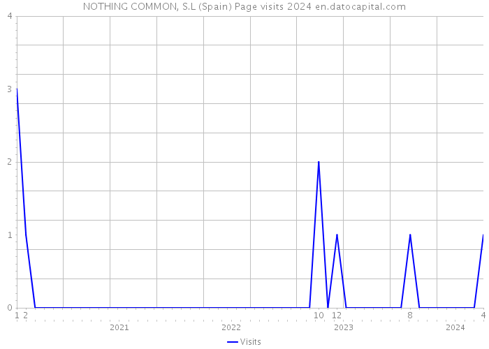 NOTHING COMMON, S.L (Spain) Page visits 2024 