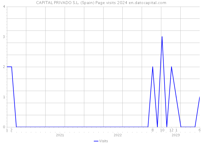 CAPITAL PRIVADO S.L. (Spain) Page visits 2024 