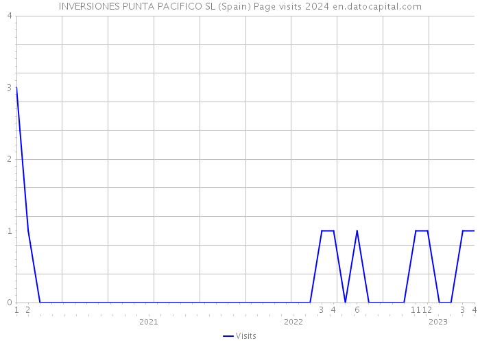INVERSIONES PUNTA PACIFICO SL (Spain) Page visits 2024 