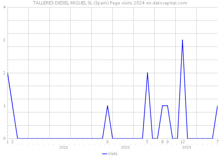 TALLERES DIESEL MIGUEL SL (Spain) Page visits 2024 