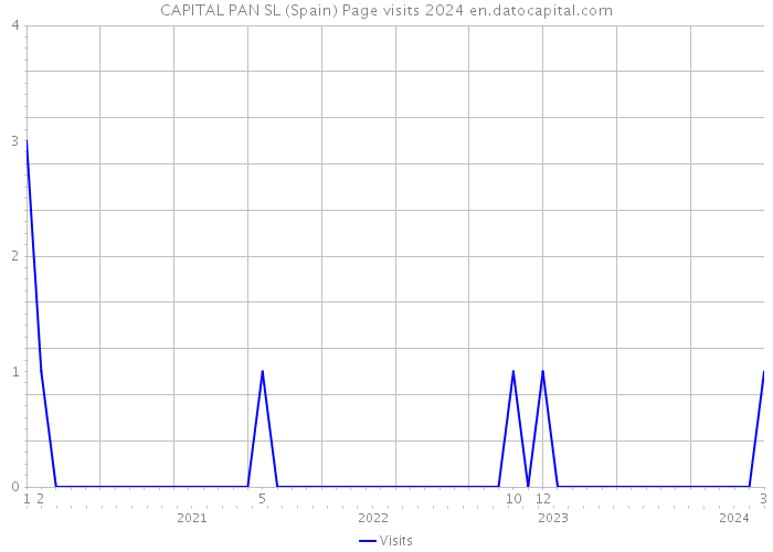 CAPITAL PAN SL (Spain) Page visits 2024 