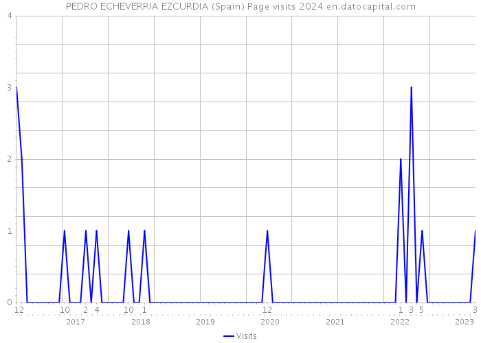 PEDRO ECHEVERRIA EZCURDIA (Spain) Page visits 2024 