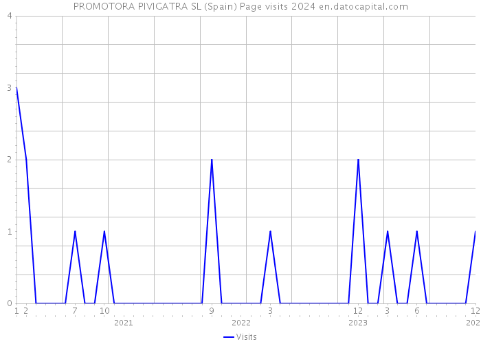 PROMOTORA PIVIGATRA SL (Spain) Page visits 2024 