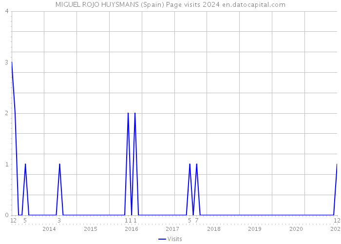 MIGUEL ROJO HUYSMANS (Spain) Page visits 2024 