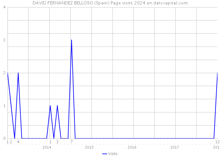 DAVID FERNANDEZ BELLOSO (Spain) Page visits 2024 
