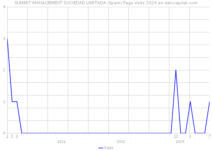 SUMMIT MANAGEMENT SOCIEDAD LIMITADA (Spain) Page visits 2024 